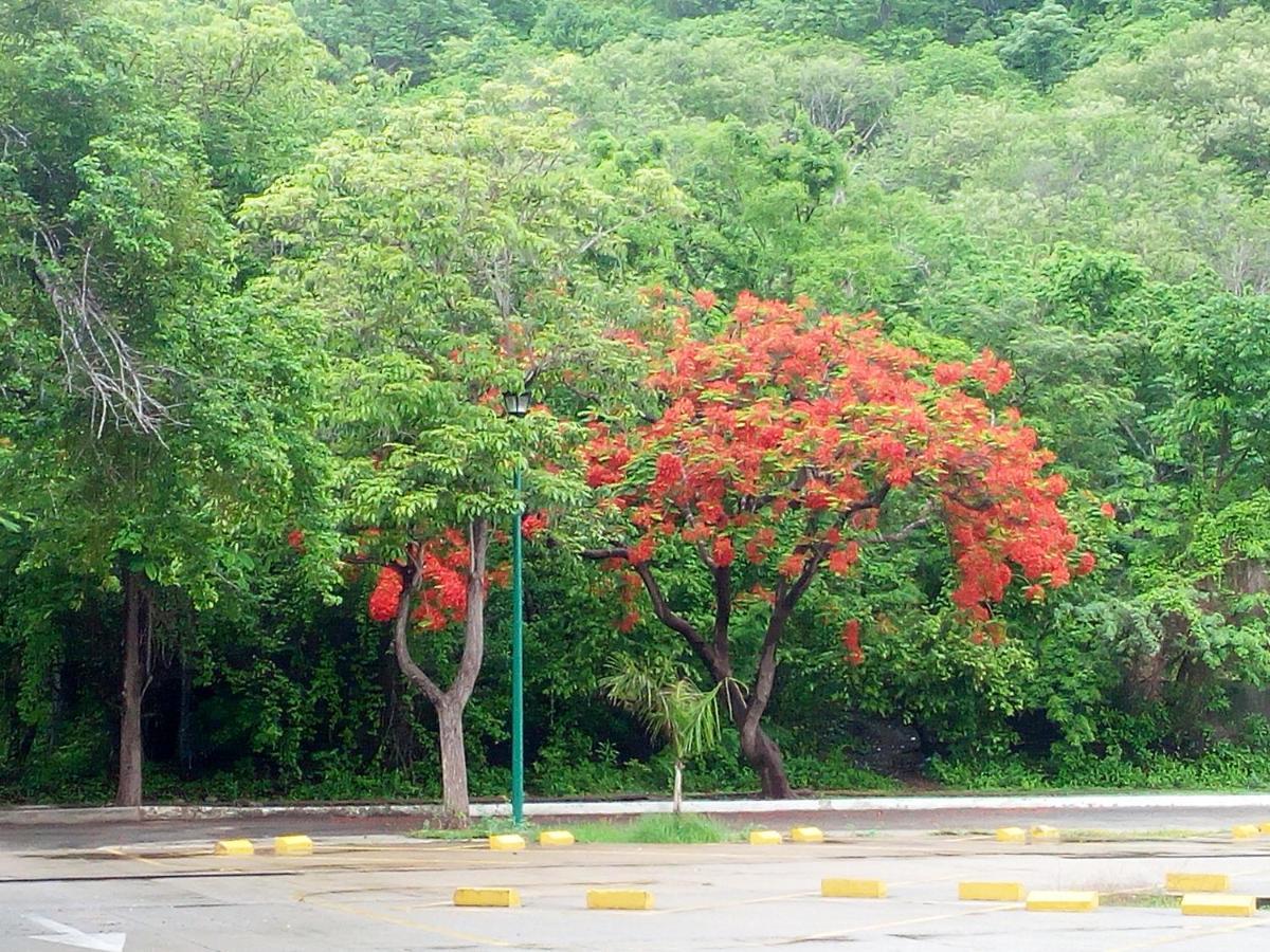 Camino Al Mar Apartment Santa Cruz Huatulco Luaran gambar